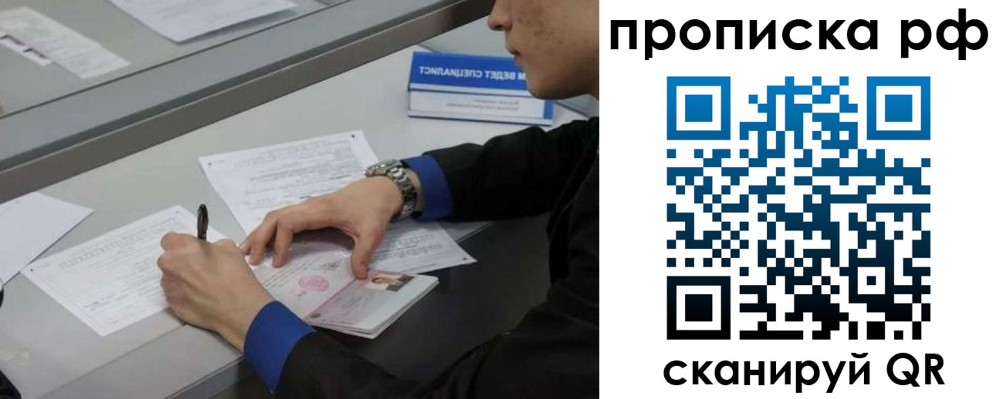 прописка гарантия в Соколе